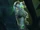 Izal Whitemoon