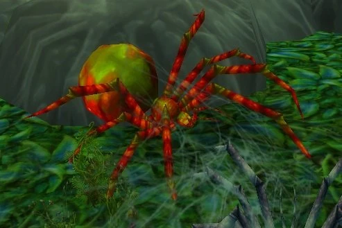Razzashi Broodwidow | WoWWiki | Fandom