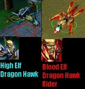 BloodHighElfDragonHawk.jpg (18 KB) Comparison between High Elf and Blood Elf Dragonhawk Rider.