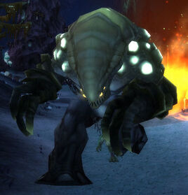 Fungal Terror