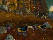 Talrendis Point as an Alliance flight location before the Cataclysm.