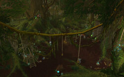 RainspeakerCanopy
