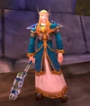 High Elf Mage-Priest