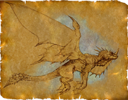 Dragon flying sketch on parchment