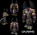 Wildheart Raiment on a male tauren