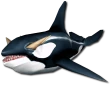 MiniOrca.png