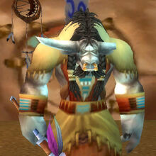 Hamuul Runetotem Classic Wow Wiki Fandom Address search in world cities. hamuul runetotem classic wow wiki