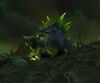 Felboar