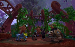 Druid Order Hall