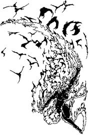 Fire elemental in female form.