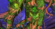 Roots of Nordrassil