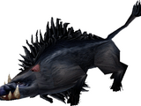 Boar