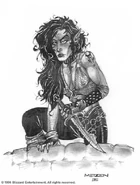 "Garona" by Metzen[29]