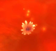 Magmolia.jpg (14 KB) A Magmolia in lava.