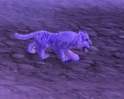 Winterspring cub 2.jpg