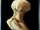 Carved Ivory Bone