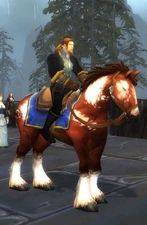 Liam preparing for the battle against the Forsaken outside Gilneas City.