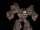 Rockgolem.gif