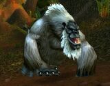 Silverback Patriarch