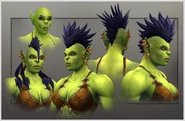 WODOrcFemale.jpg (195 KB) New female orc model