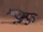 Mangy Hyena
