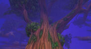 Near the top of Nordrassil