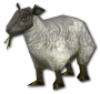 MiniSheep.png