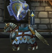 Crusader's White Warhorse
