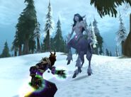 Undead warlock fighting a frost nymph in the Howling Fjord.