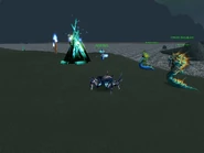 An overheard conversation during the Midsummer Fire Festival.