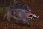 Plagued Swine