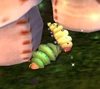 Hungry Silkworm