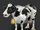 Cow.png