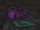 Amethyst Spiderling (battle pet)
