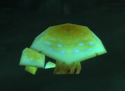 Death Cap