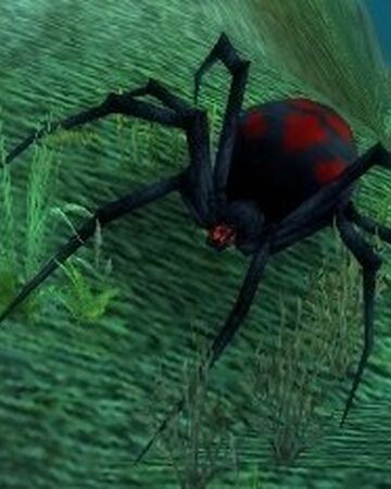 Wow black widow spider Leech Widow
