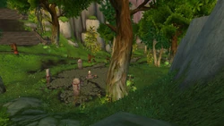 The Path of Enlightenment