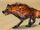 Blisterpaw Hyena