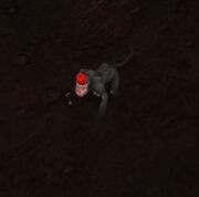 DarkmoonMonkey