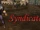 Syndicate
