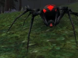 Vicious Night Web Spider