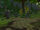Circle of Blood (Jade Forest)