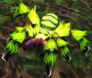 Webwood Spider.jpg