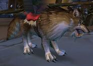 Brown Wolf.jpg (125 KB) Brown Wolf