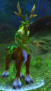 Keeper of the Grove in WoW