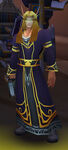 Enchanter Aeldron