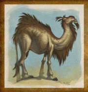 Camel art