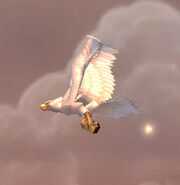 GreatWhitePlainshawk.jpg