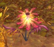 Astral Glory cropped.jpg
