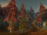 Forlorn Ridge.jpg (86 KB) Forlorn Ridge